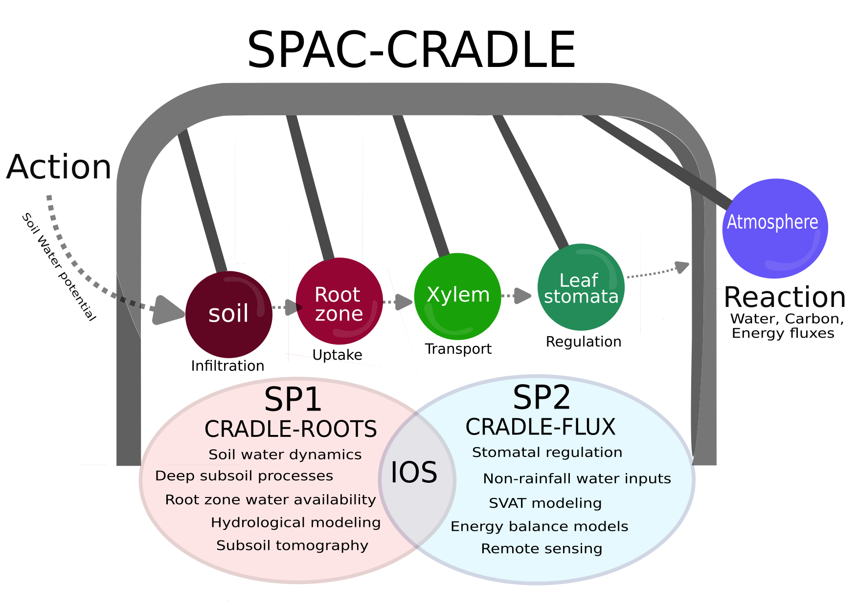 concept_SPAC_cradle.png