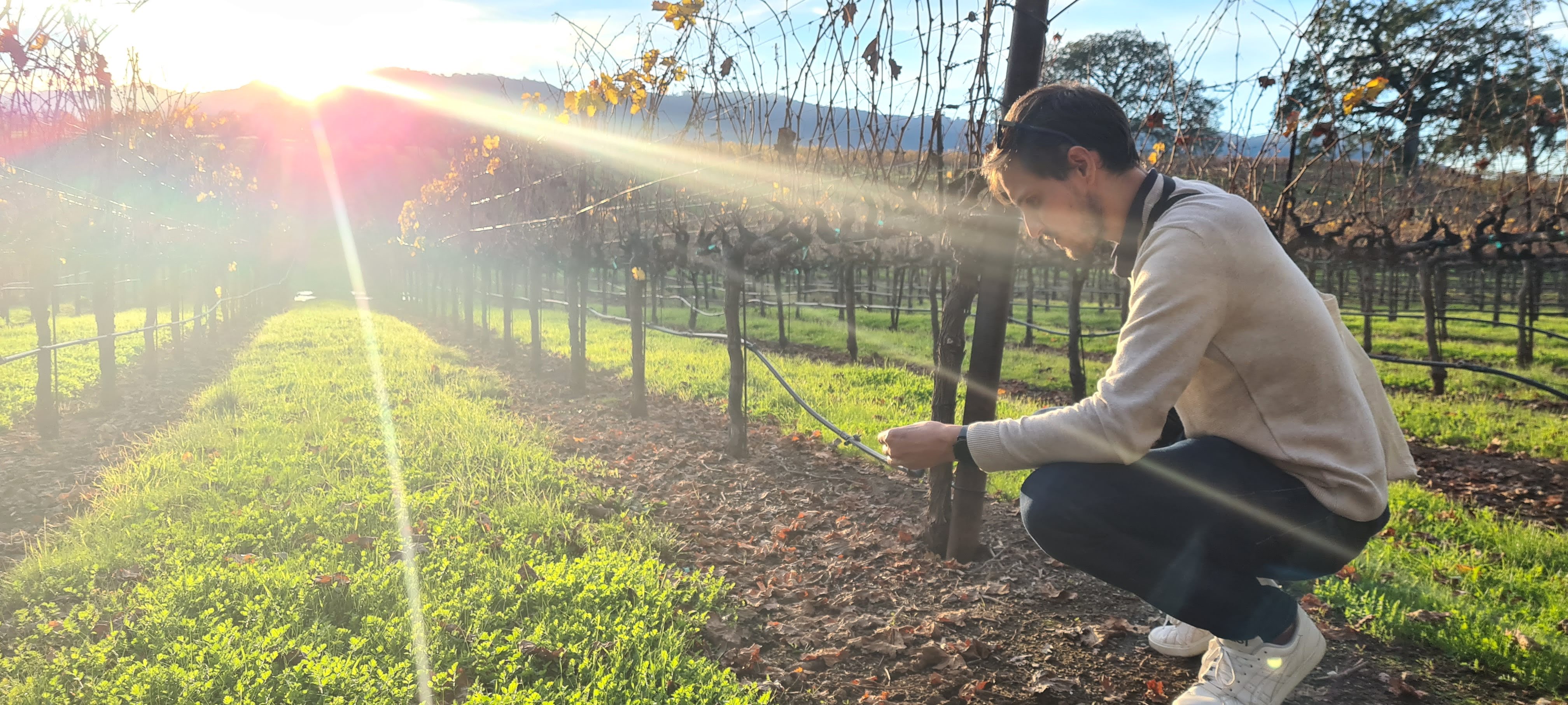 Visit of Napa Valley (CA) vineyards
© AP. Garcia Nieto