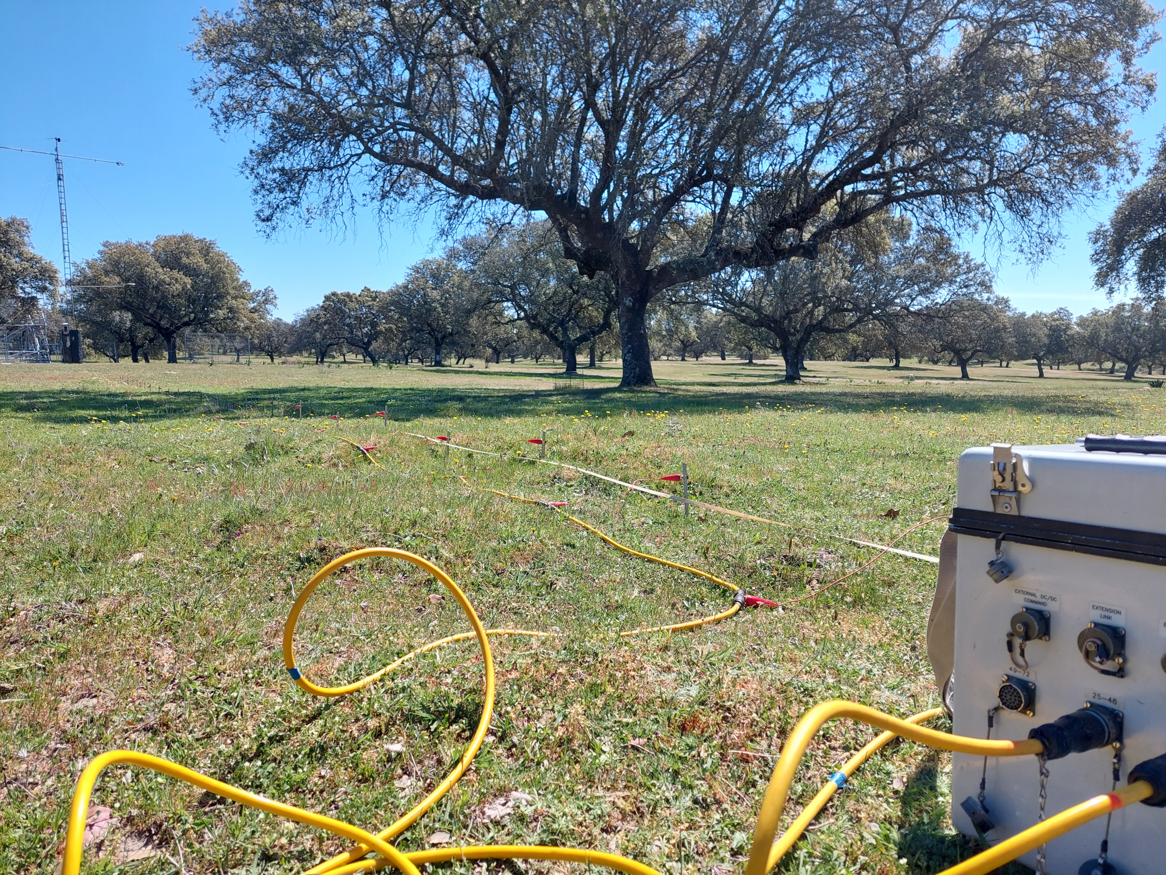 Field work at the Majadas de Tiétar
© B. Mary