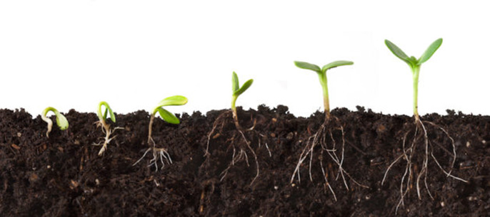 Two Berkeley Lab projects to “see” into the soil.
© KateLeigh/istock.com